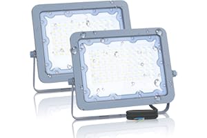 Aigostar Focos LED Exterior 50W Foco LED Exterio 4000K Luces LED Exterior 4500LM a prueba de agua IP65 para patio, jardín, garajes, 2 piezas