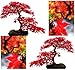 Produktbild 10 x Rot Ahorn Baum Samen – Acer rubrum – Hervorragende für japanische Bonsai – wächst in voller Sonne oder Halbschatten – Zonen 5–9 – von myseeds. CO, Modell:, Home & Garden Store