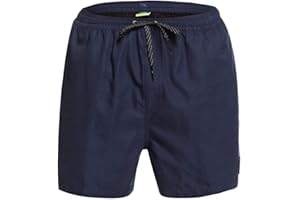 Quiksilver Everyday Volley 15 - Szorty boardowe Mężczyźni