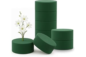 Minfuerang 8 Pezzi Schiuma Floreale 8x4 cm, Cilindro in Spugna Floreale, Spugna per Fiori Verde per Fiori Secchi e Freschi, per Feste, Casa, Matrimoni, Compleanni (8)