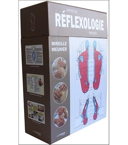 3B Scientific A69 Sternum Avec Cartilage Des Côtes + Logiciel D