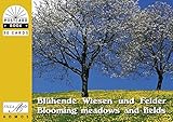 Blühende Wiesen und Felder /Blooming meadows and fields: Postkartenbuch by
