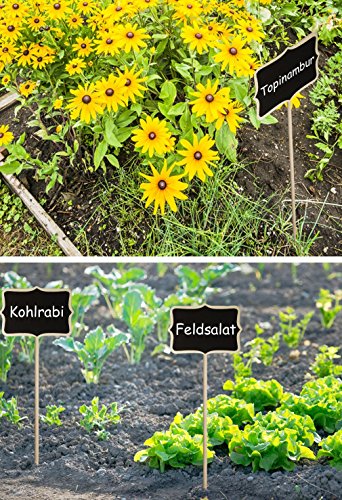 HOMETOOLS.EU – 6 Stück – Holz Pflanz Schilder | Pflanzschilder 17cm hoch, beschreibbar | Landhaus Retro Vintage | 6er Set Schilder CLASSIC 17cm - 4