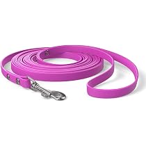 Wolters Cat&Dog Professional Führleine Classic XL – 200 Cm X 25 Mm, Rot, Doppellagig & Verstellbar