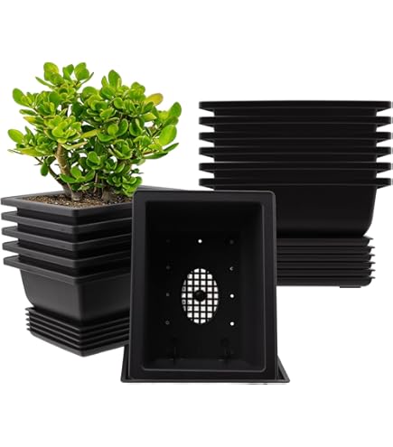 6 Stuks Bonsai Schalen, 16 x 12 x 6 cm Pot Met Trays, Kunststof
