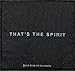 Produktbild BRING ME THE HORIZON Aufnäher THAT´S THE SPIRIT Patch gewebt 10 x 10 cm