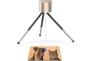 LaserPecker L1 Mini Graveur Laser Mini Machine de Gravure Laser Portable pour Créer des Cadeaux Uniques n'importe où - Or