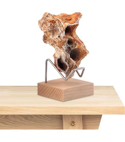 Almencla Présentoir En Acrylique Pour Minéraux, Roches, Géodes, Pierres D'agate, Taille L