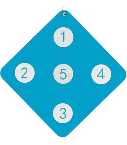 Bersaglio Per Scherma In Pelle PU - Appendibile Per Allenamento Di Precisione