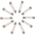 BOJACK T10A250V 6x30 mm 10A 250V Slow-Blow Ceramic Fuses 10 amp 250 Volt 0.24 x 1.18 Inch Ceramic Tube Time-delay Fuses (Pack of 20 Pcs)