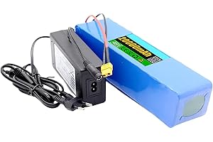 BDBLFLTZ Batteria E-Bike 48V 20Ah Lithium, 13S3P Waterproof Lithium-Ion Batteria Bicicletta elettrica Incorporato BMS per 1000W Motore Elettrico Bicicletta, Scooter XT 60