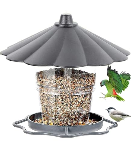 Lot De 3 Mangeoires à Oiseaux Suspendues Transparentes - 23 X 7,5 Cm, 2 Perchoirs, Pour Jardin !