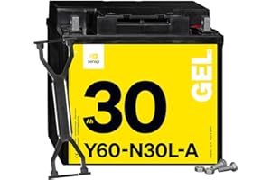Denagi 53030 GEL Y60-N30L-A Motorradbatterie 12V 30Ah, wartungsfrei versiegelt vorgeladen