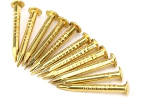 YOSOO HEALTH GEAR Clou en Laiton, 100 Pièces Clous Dorés à Tête Ronde épingles Murales en Laiton 10mm/15mm/18mm/22mm pour Bois, pour Accrocher un Miroir de Cadre Photo(15mm long)