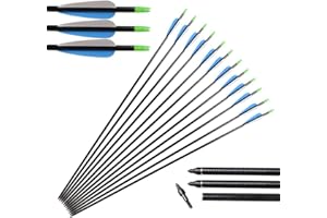 Huntingdoor 12 x 31" Frecce in Fibra di Vetro Frecce per bersagli / Caccia Frecce Punte Sostituibile a Vite Target Practice per Ricurvo e Arco Compound ad Alta Resistenza e Durevole Raccomandazione Speciale 3 Colori Disponibili (Blu)