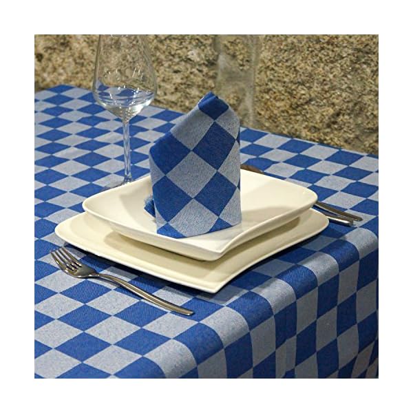 BgEurope CHESS TABLECLOTH - ANTI STAIN PROOF RESISTANT - RECTANGLE - COLOR BLUE