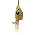 LIVEONCE Weaver Bird nest with Two Birds,Material Type -Coir,Color -Brown, Size (H 28 cm,Diameter 15 cm), Set of 1