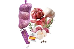 ‎AJO NEGRO DE MOUSE HILL Hochwertiger violetter Knoblauch, aus der Knoblauch-Hauptstadt Las Pedroñeras in Spanien. Scharf mit intensivem Knoblauch-Aroma (250 g)