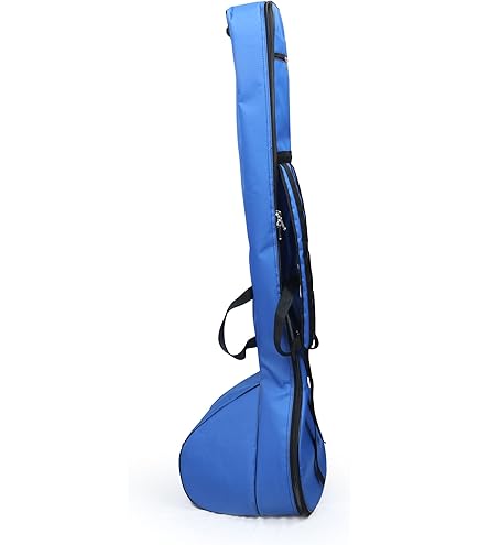 Fender Electric Bass Deluxe Molded Case 996162306 : Amazon.in