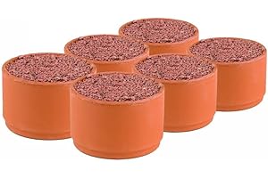 WESTLAND HORTICULTURE Pigeon Pickstones (Pack of 6)