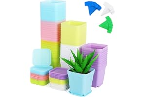 Moendergo Doniczki do roślin do żłobków, plastikowe kwadratowe doniczki na sadzonki, doniczki, do przedszkola, pojemniki na przesadzanie, z talerzami i etykietami roślin, dla sukulentów, roślin wężowych, aloesu (różne kolory)