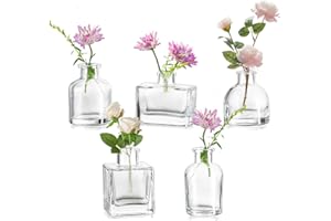 ‎HEWORY Hewory Kleine Vasen für Tischdeko Party: 5er Mini Vasen Set Verschiedene Kleine Glasvasen Set für Tisch Deko Wohnzimmer - Modern Blumenvase Glas für Hochzeitsdeko Home Decor Schlafzimmer