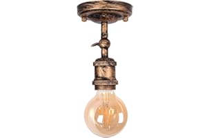 TWSXTE Plafonnier industriel rétro, appliques murales vintage, spots antique, plafonniers et éclairages muraux dans le salon et la chambre, douilles E27, pour ampoules LED jusqu'à 60W