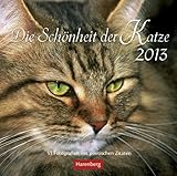 Die Schönheit der Katze 2013: 53 Fotografien mit poetischen Zitate by 