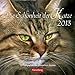 Die Schönheit der Katze 2013: 53 Fotografien mit poetischen Zitate by 