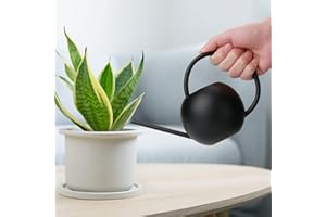 ‎DANOLT Danolt 400ML Schwarz Gießkanne Klein Zimmerpflanzen, Mini Gießkanne Metall Langem Auslauf Giesskanne Klein ZimmerpflanzenInnen für Innen Wohnung Home Büro Sukkulenten