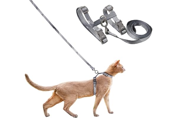 pidan Ensemble Harnais et Laisse pour Chat, Harnais réglable Anti-Fugue pour Chaton de Grande et Petite Taille, léger, Doux, pour la Marche, Les Voyages, Gris, Tour de Cou de 19 cm, 31 cm, Tour de