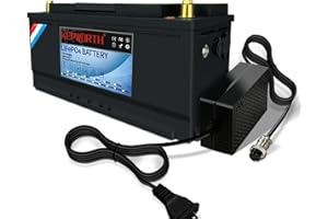 DEESPAEK Batería de Litio 12V 120AH, 100A BMS, batería LiFePO4 Recargable de Ciclo Profundo hasta 7000 Veces, para Sistema Solar, RV, Barco, hogar, Camper