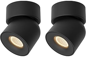 A AISILAN Aisilan 2 Pack Black Spotlights Indoor, Dimmable LED 7W Single Rotatable Ceiling Spot Light Aluminum Warm White Surface Mount Spotlights for Bedroom Living Room Corridor