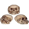 Puckator Set of 3 Small See No, Hear No, Speak No Evil Skulls - Home Living Room Decoration - Gifts For Men Women