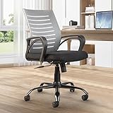 CELLBELL Desire C104 Mesh Mid Back Ergonomic Office Chair/Study Chair/Revolving Chair/Computer Chair for Work from Home Metal
