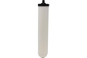 Doulton 10" Ultracarb SI |1 Pack| Authentic Drinking Water Ceramic Candle Filter | Reduces Contaminants | Fits All 1/4" BSP Fittings | Improves Taste & Odour | NSF Certified |9505