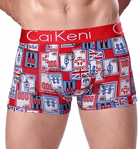 CAIKENI Men's Underwear Sexy Modern Ice Silk Underpants Comfort Fitting Trunk