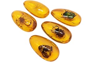 BESPORTBLE Bernstein Anhänger Bernstein Fossil Harz Insekten Stein Anhänger Biologie Pädagogisches Spielzeug Schmuck Anhänger Schmuckzubehör Basteln Sammlerstücke Geschenk Zufälliges Muster