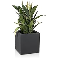 Pflanzkübel DECORAS Kunststoff Pflanztröge – versch. Größen – anthrazit – frostsicher & UV-beständig – TÜV-geprüfte…