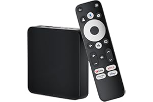 ORBSMART Streaming Box GD2 4K HDR Smart Google TV Player | WiFi LAN USB | Chromecast | Netflix | Prime Video | Disney+