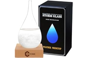 3DHOME Storm Glass Weather Forecaster Barometer,Weather Glass Weather Station, Home And Office Decoration Snow Globe Weather Gifts for Women Men