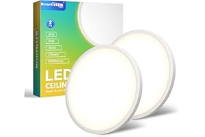 DETARZINLED 2Pcs lampara de techo Cocina Dormitorio, 24W 4000K 2640LM 30CM Plafon Led Techo con Mando Distancia, IP44 Modernas Candeeiro Teto Downlight Focos Luz Interior Salon[ Clase de eficiencia energética E]