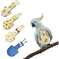 Sagreeny 4 Pcs Bird Diapers Flight Suite Liners Washable Reusable Protective Parrot Nappy Clothes with Waterproof Inner for Parakeet Cockatiel Mini Macaw Budgie Canary Cute Style (M)