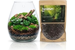 HEIWA India - Closed Terrarium Tropical Substrate Mix | Premium Soil for Moss, Ferns & Tropical Plants | DIY Terrarium Soil for Closed Glass Terrariums | Indoor Plant Substrate