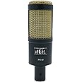 Heil PR 40 Dynamic Microphone for Streaming, Podcast, Recording, and Broadcast, XLR Microphone for Live Music, Wide Frequency Response, Smooth Sound, Superior Rear Noise Rejection - Black & Gold