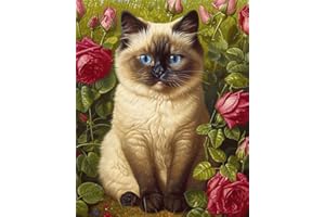 LOMSIOY 5D DIY Diamond Painting Chat Animal Kits Broderie Diamant Painting Fleur Adulte Complet Peinture Strass Point de Croix Craft pour Maison Décoration Murale 30x40 cm
