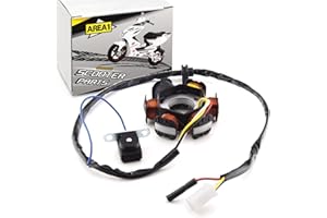 ‎AREA1 Area1 Ersatz Lichtmaschine Stator für 50ccm. Kompatibel mit Speedfight 1, Speedfight 2 Elyseo Elystar Vivacity Trekker Gipsy Buxy Squab TKR SV Splinter Sachs Honda X8RS SXR SFX Shaddow Bali Sky