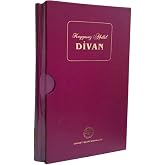 Kaygusuz Abdal - Divan