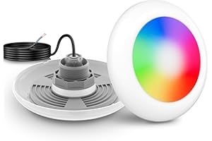 LyLmLe Foco Piscina LED con Rosca Externa 2", 25W Proyector LED Piscina RGB Multicolor Control Sincronizado, Ø242mm, 12V AC Lámpara Sumergible para Piscinas Elevada Acero, Sin Unidades de Control