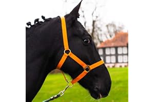Licol pour cheval sang chaud, sang froid, licol en osier, 2 positions réglables sur la mentonnière et la têtière, sûr et indéchirable (orange, sang froid)